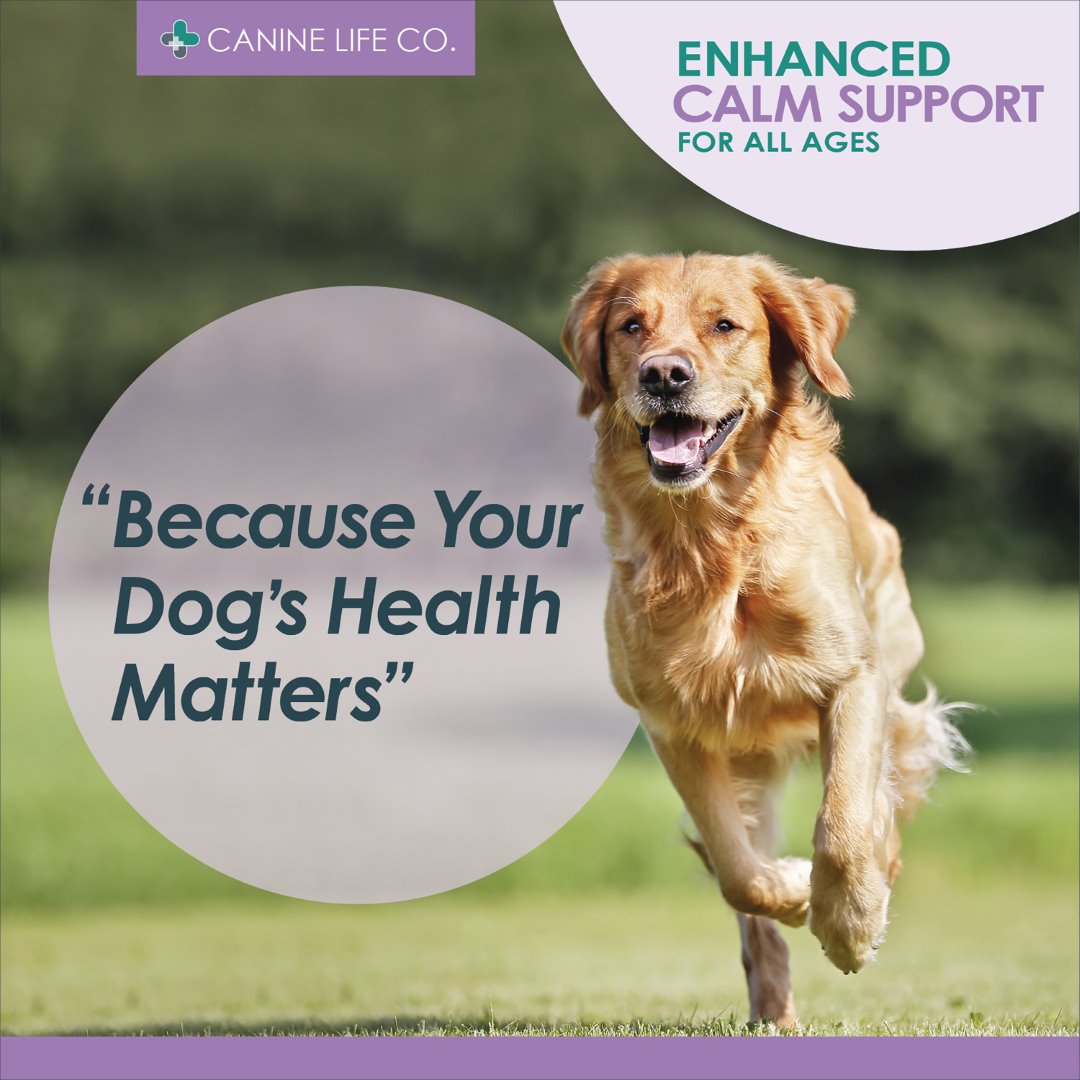 Amazon pages calm11 (Large) adult v2