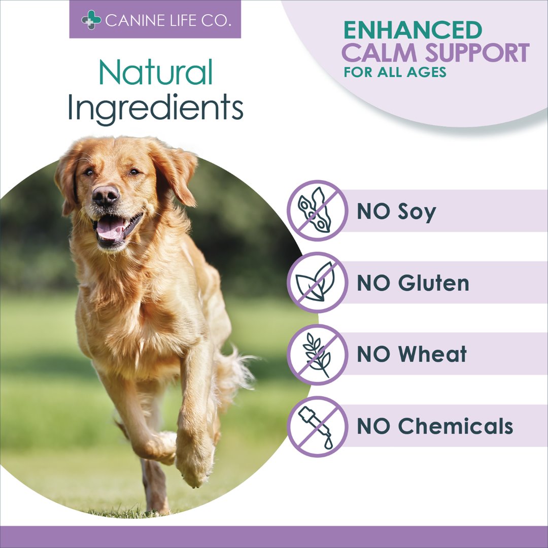 Amazon pages calm3 (Large) adult v2