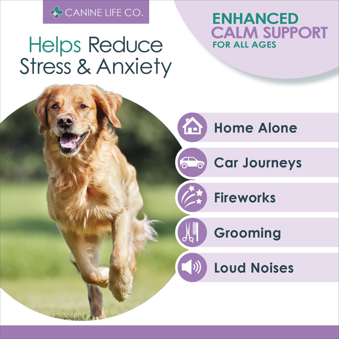 Amazon pages calm4 (Large) adult v2