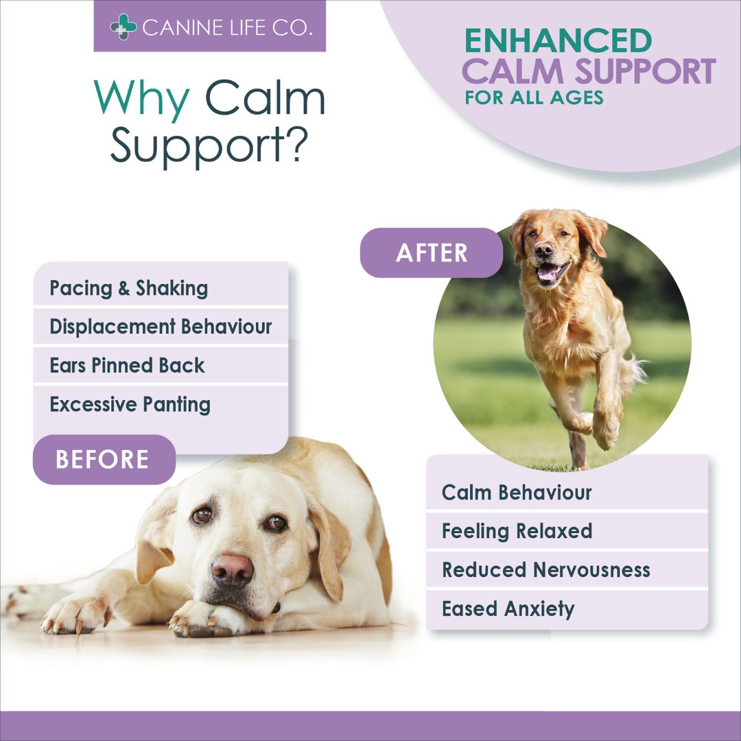 Amazon pages calm6 (Large) adult v2