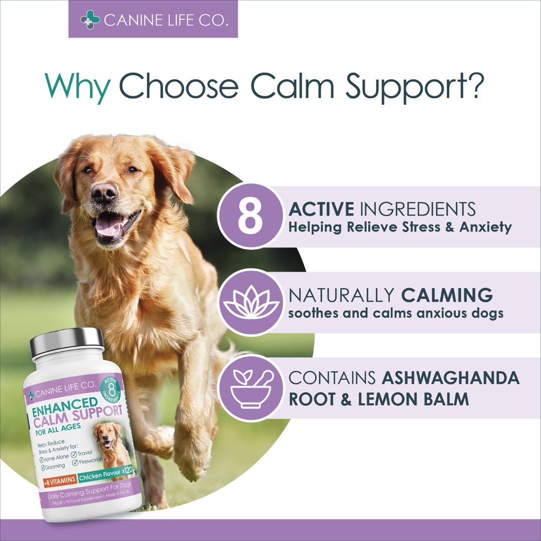 Amazon pages calm9 (Large) adult v2